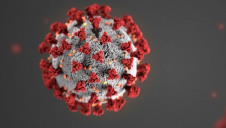 How are you changing your role, remit, routine and expectations amid the Covid 19 outbreak?